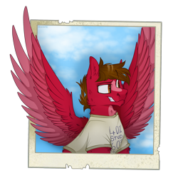 Size: 2300x2300 | Tagged: safe, artist:molars, imported from derpibooru, oc, oc only, oc:grand finale, earth pony, pegasus, chest fluff, chin fluff, facial hair, goatee, polaroid, raised eyebrow, shading, simple background, sky, smug, spread wings, transparent background, wings