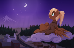 Size: 3000x1969 | Tagged: safe, artist:willoillo, imported from derpibooru, oc, oc only, oc:threnody, pegasus, pony, fallout equestria, fallout equestria: speak, cloud, fanfic art, moon, night, solo, stars