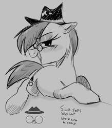 Size: 1051x1206 | Tagged: safe, artist:mushy, imported from derpibooru, oc, oc only, oc:incognito mare, earth pony, pony, aggie.io, bedroom eyes, blushing, female, glasses, hat, looking at you, mare, ponified, solo