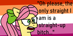 Size: 2000x1000 | Tagged: safe, artist:jadeharmony, imported from derpibooru, earth pony, pony, bitch, bow, female, g5, graveyard of comments, hair bow, lesbian pride flag, mare, meme, open mouth, posey bloom, pride, pride flag, solo, vulgar