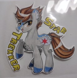 Size: 3000x3039 | Tagged: safe, artist:annuthecatgirl, imported from derpibooru, oc, oc only, oc:star trekker, pony, traditional art