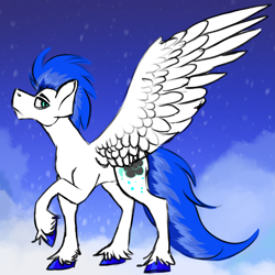 Size: 2283x2286 | Tagged: safe, artist:maplefr0st, artist:~doughderg, imported from derpibooru, oc, pegasus, pony, blue, blue eyes, cloud, hooves, large wings, multicolored hair, pegasus oc, snow, white, wings, winter