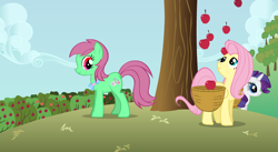 Size: 938x513 | Tagged: safe, edit, edited screencap, imported from derpibooru, screencap, fluttershy, minty, rarity, earth pony, pegasus, pony, unicorn, applebuck season, adventures in ponyville, apple, apple tree, basket, butt, food, fruit, g3, g3 to g4, g4, generation leap, jewelry, mintybutt, necklace, plot, smiling, sweet apple acres, tree