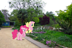 Size: 800x534 | Tagged: safe, artist:alexiy777, artist:dashiesparkle, artist:mlplover94, imported from derpibooru, fluttershy, pinkie pie, earth pony, pegasus, pony, female, flower, garden, irl, mare, north carolina, photo, ponies in real life, raleigh