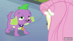 Size: 640x360 | Tagged: safe, imported from derpibooru, screencap, fluttershy, spike, dog, equestria girls, equestria girls (movie), animated, canterlot high, duo, duo male and female, female, hairpin, male, open mouth, spike the dog