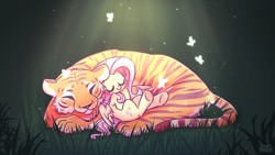 Size: 1920x1080 | Tagged: safe, artist:sugar morning, imported from derpibooru, fluttershy, big cat, butterfly, pegasus, pony, tiger, commission, crepuscular rays, curled up, cute, duo, eyes closed, female, g4, grass, hooves to the chest, lying down, mare, night, partially open wings, shyabetes, sleeping, smiling, wings