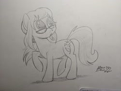 Size: 2048x1536 | Tagged: safe, artist:mellodillo, imported from derpibooru, oc, oc only, earth pony, pony, female, glasses, grayscale, mare, monochrome, pencil drawing, solo, traditional art