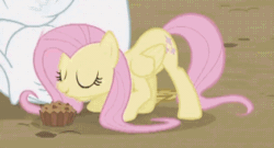 Size: 434x234 | Tagged: safe, imported from derpibooru, screencap, bulk biceps, fluttershy, pegasus, pony, rainbow falls, season 4, animated, apple brown betty (food), cute, duo, duo male and female, eating, eyes closed, face down ass up, female, female focus, folded wings, food, gif, male, mare, offscreen character, offscreen male, puffy cheeks, shyabetes, sitting, solo focus, stallion, vein, wings