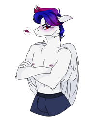 Size: 1256x1668 | Tagged: safe, artist:tired-horse-studios, imported from derpibooru, oc, oc:sorbet swirl, anthro, pegasus, clothes, crossed arms, male, male nipples, nipple piercing, nipples, nudity, partial nudity, piercing, simple background, solo, topless, transparent background