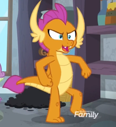 Size: 717x783 | Tagged: safe, imported from derpibooru, screencap, smolder, spike, dragon, molt down, season 8, spoiler:s08, discovery family, discovery family logo, dragoness, female, logo, solo focus