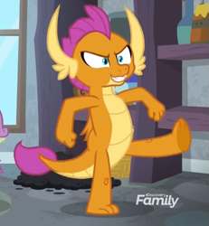 Size: 733x795 | Tagged: safe, imported from derpibooru, screencap, smolder, spike, dragon, molt down, season 8, spoiler:s08, discovery family, discovery family logo, dragoness, female, logo, solo focus