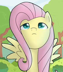 Size: 448x513 | Tagged: safe, artist:nerow94, imported from derpibooru, fluttershy, pegasus, pony, female, solo, spread wings, wings