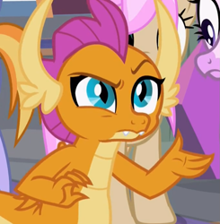 Size: 849x866 | Tagged: safe, imported from derpibooru, screencap, auburn vision, silverstream, smolder, strawberry scoop, classical hippogriff, dragon, hippogriff, school raze, cropped, friendship student, raised eyebrow, solo focus