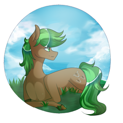 Size: 1400x1400 | Tagged: safe, artist:umimizunone, imported from derpibooru, oc, oc only, oc:jaeger sylva, earth pony, pony, lying down, male, partial background, prone, simple background, solo, stallion, transparent background