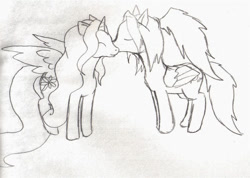 Size: 800x569 | Tagged: safe, artist:binikastar, imported from derpibooru, oc, oc only, alicorn, pony, alicorn oc, duo, eyes closed, horn, kissing, lineart, oc x oc, shipping, traditional art, wings