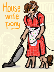 Size: 2048x2732 | Tagged: safe, artist:ja0822ck, imported from derpibooru, oc, oc only, oc:brownie bun, horse wife, housewife, pun, solo, vacuum cleaner, wat
