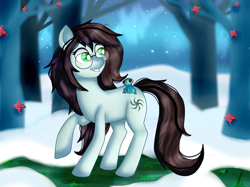 Size: 1368x1023 | Tagged: safe, artist:lelka-philka, imported from derpibooru, oc, oc only, earth pony, frog, pony, female, forest, glasses, snow, solo