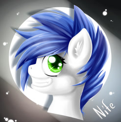 Size: 795x806 | Tagged: safe, artist:knifeh, imported from derpibooru, oc, oc only, oc:nife, pony, bust, grin, male, portrait, smiling, solo