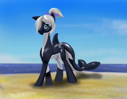 Size: 2048x1600 | Tagged: safe, artist:galaxymike, imported from derpibooru, oc, oc only, oc:toy joy, orca, orca pony, original species, pony, beach, countershading, ocean, sky, solo, water