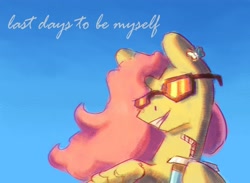 Size: 3000x2200 | Tagged: safe, artist:i-am-cholera, imported from derpibooru, fluttershy, pegasus, pony, drink, drinking straw, simple background, smiling, solo, sunglasses