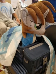 Size: 720x944 | Tagged: safe, imported from derpibooru, oc, oc only, oc:littlepip, human, pony, unicorn, fallout equestria, china, china ponycon, china ponycon 2022, equestrian flag, irl, photo, plushie, wuhan
