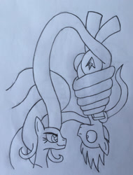 Size: 2076x2730 | Tagged: safe, artist:lunahazacookie, imported from derpibooru, mane-iac, oc, earth pony, pony, coils, duo, earth pony oc, female, lineart, male, mare, smiling, stallion, traditional art, wide eyes