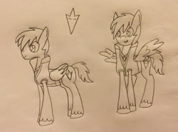 Size: 2657x1969 | Tagged: safe, artist:lunahazacookie, imported from derpibooru, oc, oc only, pegasus, pony, clothes, duo, male, pegasus oc, smiling, stallion, traditional art, unshorn fetlocks, wings