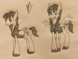 Size: 2529x1935 | Tagged: safe, alternate version, artist:lunahazacookie, imported from derpibooru, oc, oc only, pegasus, clothes, colored, duo, male, pegasus oc, smiling, stallion, traditional art, unshorn fetlocks, wings