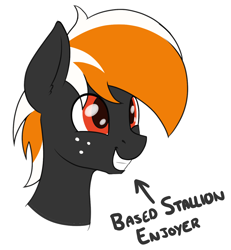 Size: 1254x1356 | Tagged: safe, artist:ponynamedmixtape, imported from derpibooru, oc, oc only, oc:se, pony, bust, freckles, happy, male, simple background, solo, text, transparent background