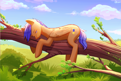 Size: 960x644 | Tagged: safe, artist:quon, imported from twibooru, oc, oc only, pegasus, pony, cloud, image, lidded eyes, looking at you, male, png, prone, resting, scenery, stallion, tree branch