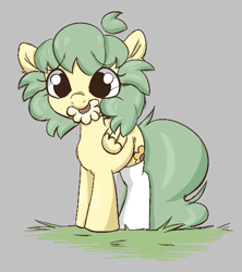 Size: 467x526 | Tagged: safe, artist:mushy, oc, oc only, pegasus, pony, aggie.io, clothes, female, flower, grass, mare, mouth hold, simple background, smiling, socks