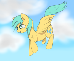 Size: 2400x2000 | Tagged: safe, artist:anonymous, sunshower raindrops, pegasus, pony, female, flying, mare, open mouth, sky, smiling