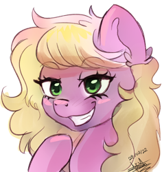 Size: 868x921 | Tagged: safe, artist:scarlett-letter, imported from derpibooru, oc, oc only, oc:twisted ankle, earth pony, pony, bust, earth pony oc, eyebrows, eyebrows visible through hair, female, grin, lidded eyes, mare, reaction image, signature, simple background, sketch, smiling, smug, solo, transparent background