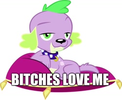 Size: 1252x1025 | Tagged: safe, edit, edited screencap, imported from derpibooru, screencap, spike, dog, equestria girls, caption, image macro, pillow, pun, simple background, smug, spike the dog, text, vulgar, white background