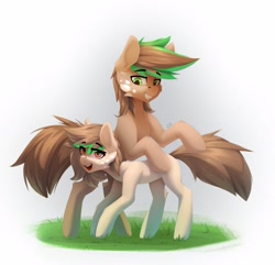 Size: 2313x2230 | Tagged: safe, artist:n_thing, imported from derpibooru, oc, oc only, earth pony, pony, brown coat, brown tail, cheek fluff, duo, earth pony oc, facial markings, grass, looking at someone, looking at you, simple background, standing, standing over, tail, two toned mane, white background