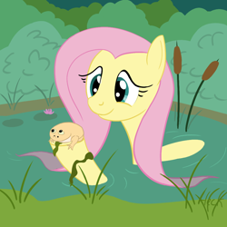 Size: 1000x1000 | Tagged: safe, artist:hotkinkajou, cattail, fluttershy, frog, pegasus, pony, digital art, female, flower, mare, meme, outdoors, pond, reeds, signature, solo, water, water lily, wednesday