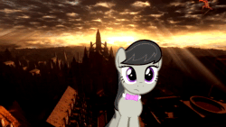 Size: 1280x720 | Tagged: safe, edit, imported from derpibooru, octavia melody, earth pony, pony, animated, dark souls, female, music, question, solo, sound, vector, webm