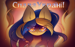 Size: 2400x1500 | Tagged: safe, artist:miryelis, imported from derpibooru, oc, oc only, oc:ukraine, earth pony, pony, angry, big ears, comments locked down, current events, fire, glowing, glowing eyes, graveyard of comments, grimcute, long hair, looking at you, nation ponies, serious, solo, text, ukraine, ukrainian independence day