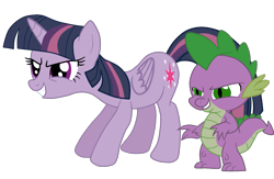 Size: 1985x1291 | Tagged: safe, artist:ponygamer2020, imported from derpibooru, mean twilight sparkle, spike, alicorn, dragon, pony, the mean 6, clone, duo, duo male and female, ears, evil grin, evil laugh, evil spike, evil twilight, female, grin, hooves, horn, laughing, male, mare, mean spike, meanified, narrowed eyes, simple background, smiling, standing, tail, transparent background, twilight sparkle (alicorn), vector