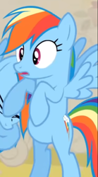 Size: 406x728 | Tagged: safe, imported from derpibooru, screencap, rainbow dash, changeling, pegasus, pony, a canterlot wedding, season 2, bipedal, cropped, disguise, disguised changeling, solo focus