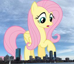 Size: 1200x1025 | Tagged: safe, artist:jaredking779, artist:xpesifeindx, imported from derpibooru, fluttershy, pegasus, pony, boston, female, giant pegasus, giant pony, giantess, giantshy, highrise ponies, irl, macro, mare, massachusetts, mega giant, photo, ponies in real life, raised hoof, solo