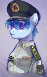 Size: 1040x1684 | Tagged: safe, artist:tingsan, imported from derpibooru, oc, oc only, oc:v.piper, earth pony, pony, army, clothes, earth pony oc, eyebrows, hat, male, marjor, military hat, military uniform, pla, solo, stallion, uniform