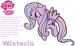 Size: 1048x640 | Tagged: safe, artist:pinkamenarockscute13, imported from derpibooru, wysteria, pegasus, pony, female, g3, g3 to g4, g4, generation leap, mare, my little pony logo, pegasus wysteria, profile, race swap, shocked, simple background, spread wings, text, white background, wings