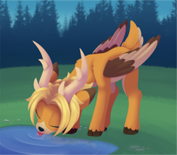 Size: 2767x2426 | Tagged: safe, artist:dusthiel, imported from derpibooru, oc, oc only, deer, deer pony, original species, peryton, drinking, eyes closed, forest, puddle, solo, tongue out