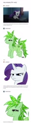 Size: 720x2849 | Tagged: safe, imported from derpibooru, rarity, oc, oc:stoney poney, earth pony, pony, unicorn, angry, bed, bedroom, bedroom eyes, bloodshot eyes, drugs, eyeshadow, female, makeup, mare, marijuana, meme origin, rarity is not amused, roleplay, smiling, text, tumblr, unamused, window