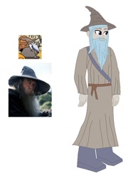 Size: 553x741 | Tagged: safe, artist:robertsonskywa1, idw, imported from derpibooru, human, equestria girls, spoiler:comic15, beard, clothes, equestria girls-ified, facial hair, gandalf, gandalf the grey, hat, lord of the rings, photo, pony to human, robe, simple background, solo, white background, wizard, wizard hat