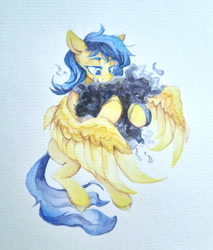 Size: 2500x2936 | Tagged: safe, artist:laymy, imported from derpibooru, oc, oc only, pegasus, pony, solo