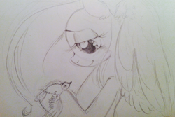 Size: 1125x750 | Tagged: safe, artist:kluzart, imported from derpibooru, fluttershy, bird, pegasus, pony, bust, female, holding, lidded eyes, looking at someone, mare, monochrome, pencil drawing, profile, smiling, solo, spread wings, traditional art, wings