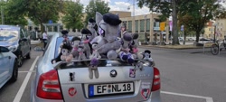 Size: 4640x2088 | Tagged: safe, imported from derpibooru, octavia melody, earth pony, human, pony, bicycle, car, galacon 2022, irl, irl human, license plate, multeity, namesake, octaviocalypse, photo, plushie, pun, skoda, skoda octavia, sticker, tree, visual pun