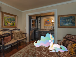 Size: 1440x1080 | Tagged: safe, artist:jaredking779, artist:wraithx79, imported from derpibooru, princess celestia, alicorn, pony, crown, female, irl, jewelry, lying down, mare, oklahoma, oklahoma city, photo, pillow, ponies in real life, prone, regalia, sitting